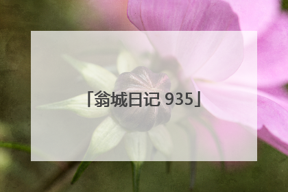 翁城日记 935