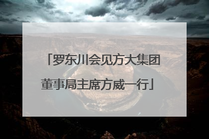 罗东川会见方大集团董事局主席方威一行