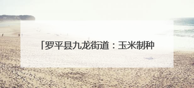 罗平县九龙街道：玉米制种“苗”绘产业兴农新画卷