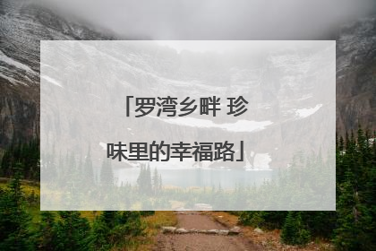罗湾乡畔 珍味里的幸福路