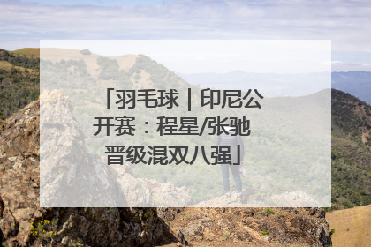 羽毛球｜印尼公开赛：程星/张驰晋级混双八强
