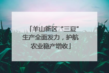 羊山新区“三夏”生产全面发力，护航农业稳产增收