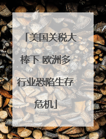 美国关税大棒下 欧洲多行业恐陷生存危机