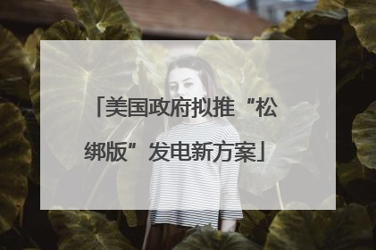 美国政府拟推“松绑版”发电新方案