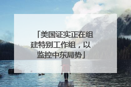 美国证实正在组建特别工作组，以监控中东局势