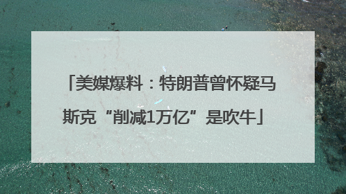 美媒爆料：特朗普曾怀疑马斯克“削减1万亿”是吹牛