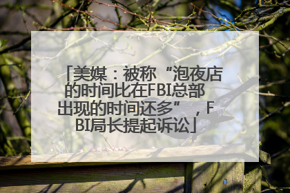 美媒：被称“泡夜店的时间比在FBI总部出现的时间还多”，FBI局长提起诉讼