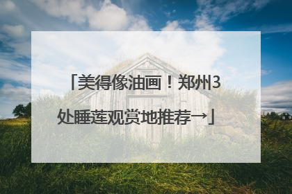美得像油画！郑州3处睡莲观赏地推荐→