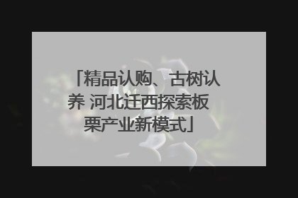 精品认购、古树认养 河北迁西探索板栗产业新模式