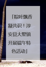 粽叶飘香凝共识！淳安县大墅镇开展端午特色活动