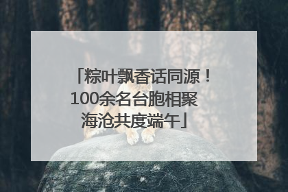 粽叶飘香话同源！100余名台胞相聚海沧共度端午