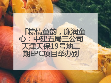 粽情童韵，廉润童心：中建五局三公司天津天保19号地二期EPC项目举办别样双节活动