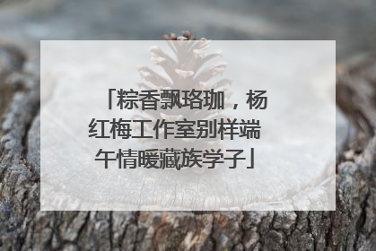 粽香飘珞珈，杨红梅工作室别样端午情暖藏族学子