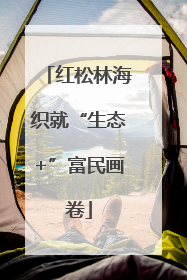 红松林海织就“生态+”富民画卷