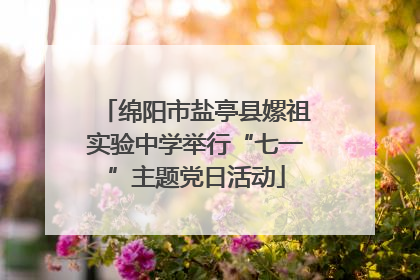 绵阳市盐亭县嫘祖实验中学举行“七一”主题党日活动