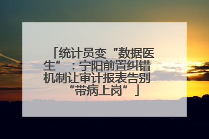 统计员变“数据医生”：宁阳前置纠错机制让审计报表告别“带病上岗”