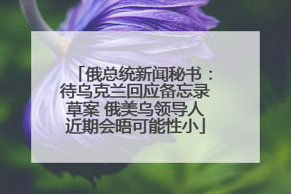 俄总统新闻秘书：待乌克兰回应备忘录草案 俄美乌领导人近期会晤可能性小