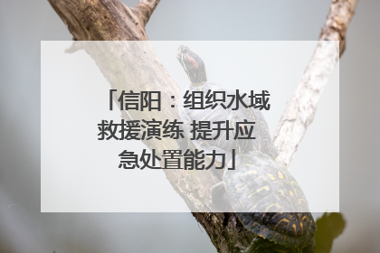 信阳：组织水域救援演练 提升应急处置能力