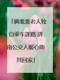 俩耄耋老人独自乘车迷路 济南公交人暖心助其回家