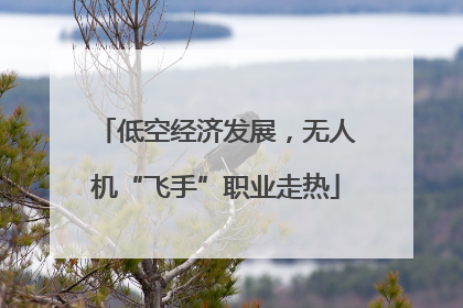 低空经济发展，无人机“飞手”职业走热