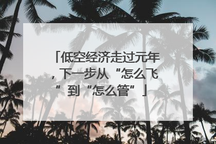 低空经济走过元年，下一步从“怎么飞”到“怎么管”