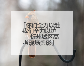 你们全力以赴 我们全力以护——忻州城区高考现场剪影