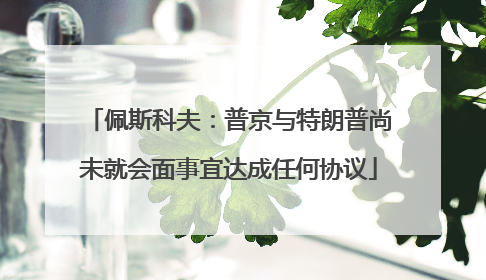 佩斯科夫：普京与特朗普尚未就会面事宜达成任何协议