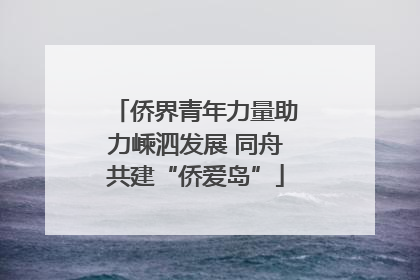 侨界青年力量助力嵊泗发展 同舟共建“侨爱岛”