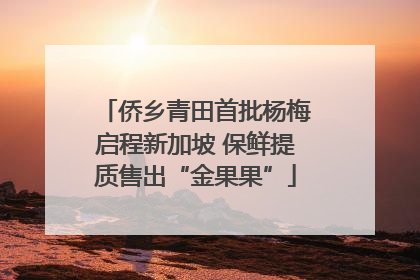 侨乡青田首批杨梅启程新加坡 保鲜提质售出“金果果”