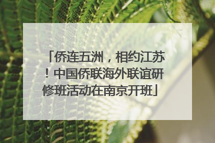 侨连五洲，相约江苏！中国侨联海外联谊研修班活动在南京开班