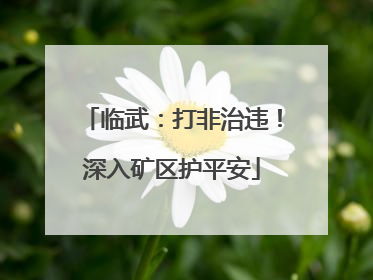 临武：打非治违！深入矿区护平安