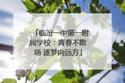 临汾一中第一附属学校：青春不散场 逐梦向远方