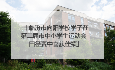 临汾市向阳学校学子在第二届市中小学生运动会田径赛中喜获佳绩
