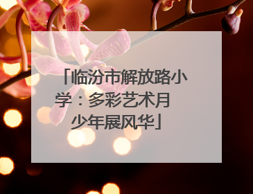 临汾市解放路小学：多彩艺术月 少年展风华