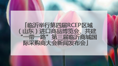 临沂举行第四届RCEP区域（山东）进口商品博览会、共建“一带一路”第三届临沂商城国际采购商大会新闻发布会