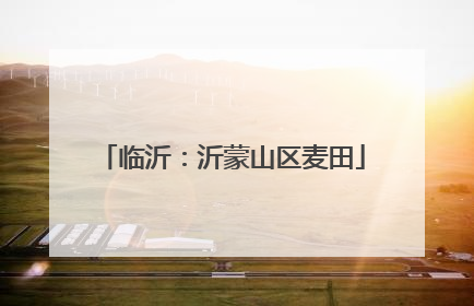 临沂：沂蒙山区麦田