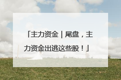主力资金｜尾盘，主力资金出逃这些股！