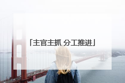 主官主抓 分工推进