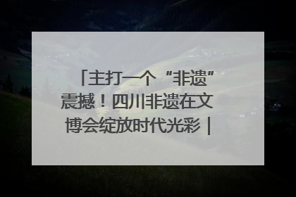 主打一个“非遗”震撼！四川非遗在文博会绽放时代光彩｜文博向“新”