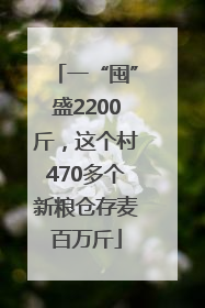 一“囤”盛2200斤，这个村470多个新粮仓存麦百万斤