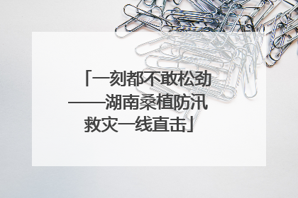 一刻都不敢松劲——湖南桑植防汛救灾一线直击