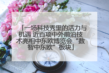 一场科技秀里的活力与机遇 近百项中外前沿技术亮相中东欧博览会“数智中东欧”板块