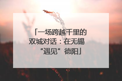 一场跨越千里的双城对话：在无锡“遇见”德阳