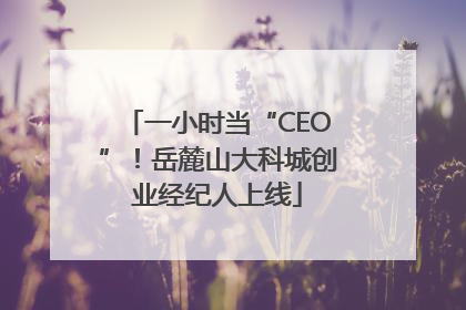 一小时当“CEO”！岳麓山大科城创业经纪人上线