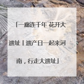 一廊连千年 花开大遗址丨遗产日一起来河南，行走大遗址