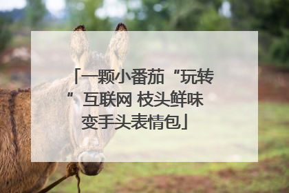 一颗小番茄“玩转”互联网 枝头鲜味变手头表情包