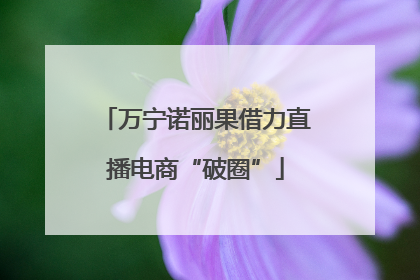 万宁诺丽果借力直播电商“破圈”