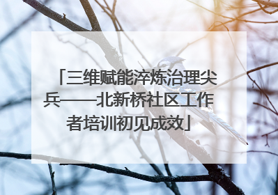 三维赋能淬炼治理尖兵——北新桥社区工作者培训初见成效