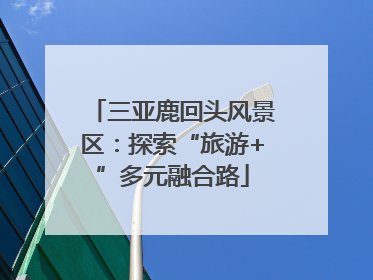 三亚鹿回头风景区：探索“旅游+”多元融合路