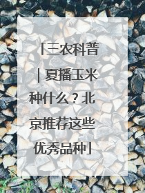 三农科普｜夏播玉米种什么？北京推荐这些优秀品种